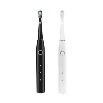 China ABS+PC+POM Electric Toothbrush odm New Portable Charging Easy Carry Travel Electric Waterproof Toothbrush for sale