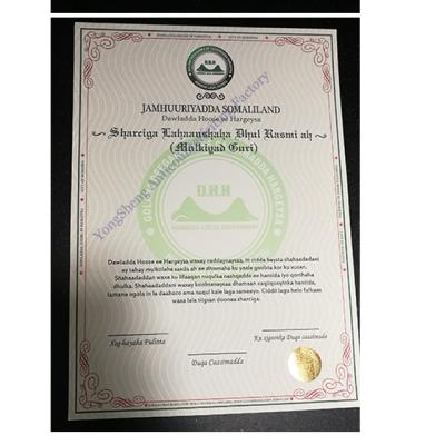 China Customized Brand Protection Pattern Watermark Paper Certificate Hologram Anti-Counterfeiting Certificate for sale