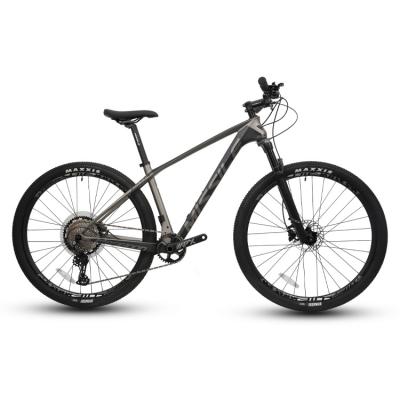 China Carbon fiber mountain bike MISSILE 29 inch 12 speed carbon fiber frame mountain bike for sale