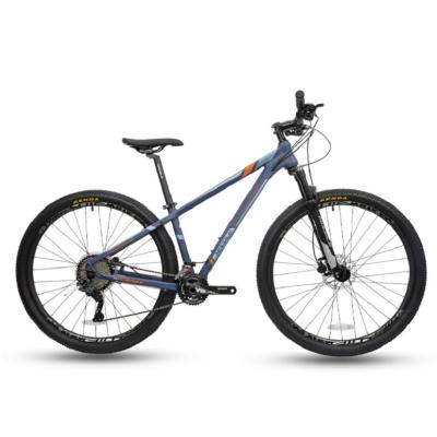 China Aluminum alloy mountain bike good quality 20 speed aluminum alloy mountain bicycle 29 inch mountain bike for sale