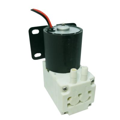 China HCKG Long Life Durable 12/24V DC Motor Brushless Micro Diaphragm Water Pump for sale