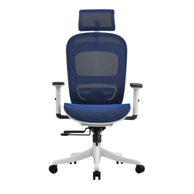 China Other High Back Ergonomic Luxury Swivel Computer Chair Full Mesh Boss Office Chair In China for sale