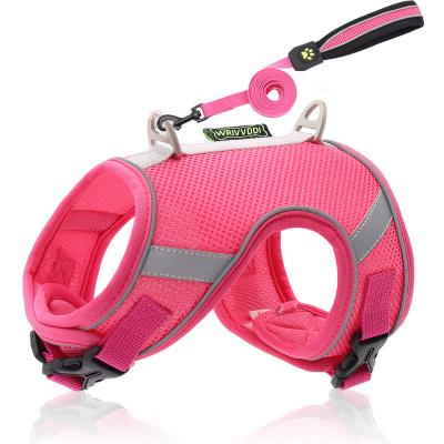 China Factory Sustainable Wholesale 2022 Spring New Product Custom Breathable Dog Harness For Cat Dog for sale