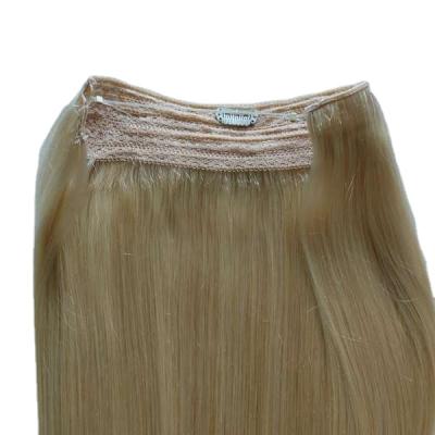 China 100% Uncut Virgin Hair Extension Human Hair Cuticle Wave High Quality Silky Straight Full Double Remy Halo Hair Factory for sale