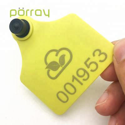 China Cattle management long range rfid cattle ear tag for cow cattle tracking for sale