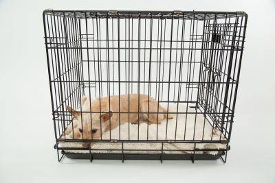 China Metal Pet Exercise Fence Dog Cage Pet Playpen With 16 Panels or 8 Panels,Kennel for sale