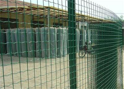 China 1.53x2.5m painting Welded Holland welded PVC wire mesh fencing for sale