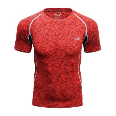 China Anti-Pilling Anti-Pilling Slim Fit Gym Bodybuilding T-Shirts Fitness Clothing Wholesale For Men for sale