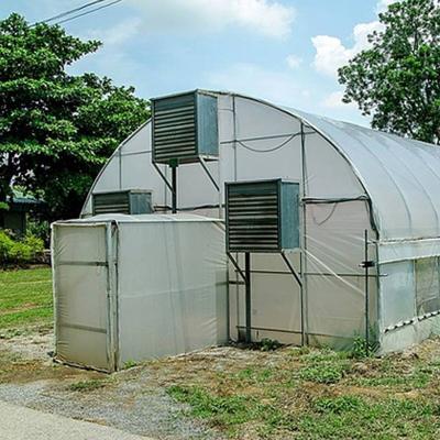 China Easily Assembled Side Manual Or Electric Film Ventilation High Wind And Single Snow Resistance Greenhouse for sale