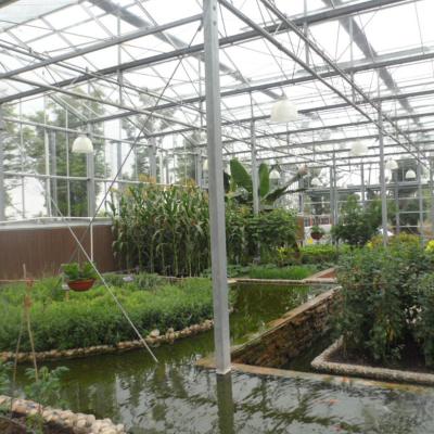 China Easily Compiled Irrigation And Fertilization Water Treatment System Greenhouse Reasonable Design for sale