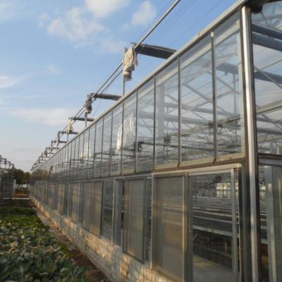 China Easily Assembled Expand Air Convection Effect Hydroponics Expanded Garden Bed China Greenhouse for sale