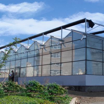 China Easily Assembled Adopts Electric Control China Greenhouses For Agriculture Manufacturer for sale