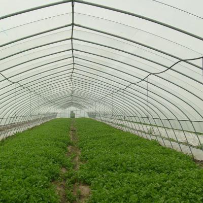 China Easily Assembled Reasonable Design Fertilization Water Treatment System Greenhouses for sale