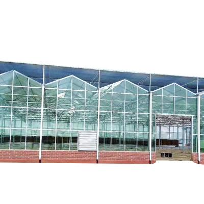 China Easily assembled complete greenhouse construction with temperature regulation and coverage for sale