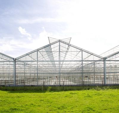 China Easily Assembled Used For Indoor Auto Greenhouse System Medical Planting Sun-Shading Greenhouse for sale