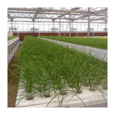 China Easily Assembled Professional Cheap Drip Irrigation System Set Systems Irrigation Rain Irrigation System for sale