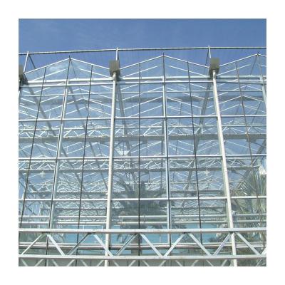 China High Quality Glass Roof Greenhouse Easily Assembled Glass Greenhouse Industrial Glass Greenhouse for sale