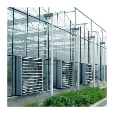 China Large easily assembled glass greenhouses usinggreenhouse durable aluminum glass garden greenhouse for sale for sale