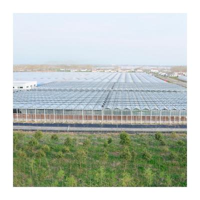 China Top Selling Small Glass Greenhouse Glass Greenhouse Green House Easily Assembled Building Glass Greenhouses for sale