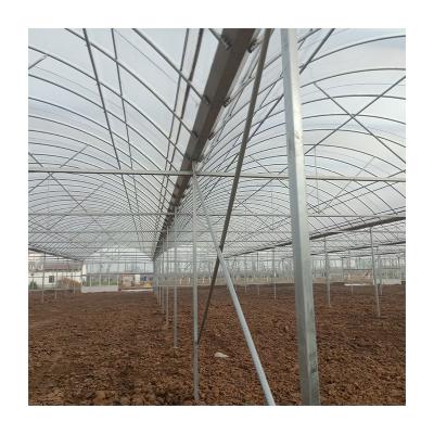 China Low Price Multi-Span Greenhouses Backyard Greenhouse Easily Assembled Glass Greenhouse for sale