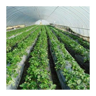 China Bargain price easily assembled new type simple greenhouse greenhouses for garden use portable greenhouse metal frame for sale