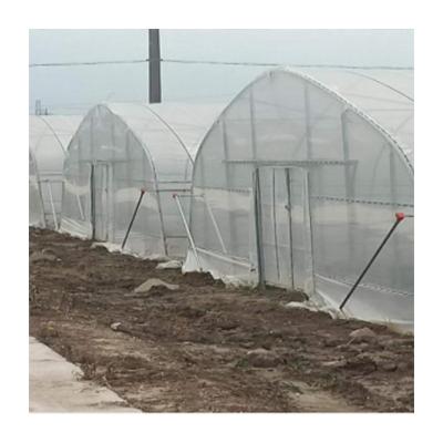 China Hot sale cheap good quality single frame strawberry greenhouse easily assembled hydroponic greenhouse for sale