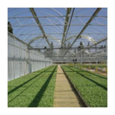 China Premium Quality Single Greenhouse Easily Assembled Strowberry Greenhouse Grow Greenhouse for sale