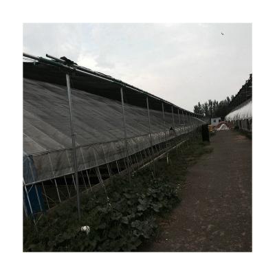 China Easily Assembled Professional China Greenhouses Green House Greenhouse Greenhouse Professional In-Solar Frame for sale