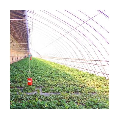 China Wholesale Customized Greenhouses Greenhouse Garden Greenhouse Easily Assembled In-Solar Agriculture for sale