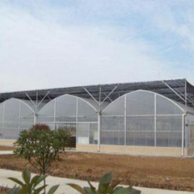 China Easily Assembled High Quality Multi Span Greenhouse For Agricultural Household for sale