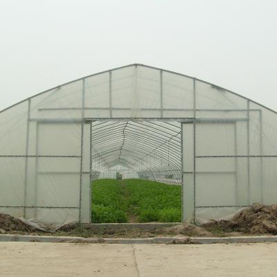 China Other Wholesale Hot Sale High Quality Single-span Agriculture Greenhouse Type Plastic Cheap Greenhouse for sale