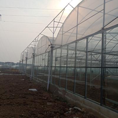 China PE Multi-span Plastic Greenhouse Sale Agriculture Greenhouse for sale