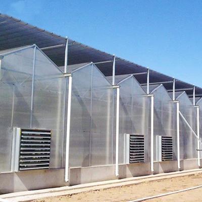 China Easily Assembled When Installing Commercial Greenhouses Selling Polycarbonate Greenhouses Tunnel Greenhouses for sale