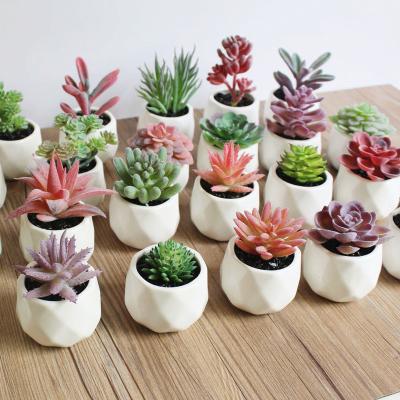 China Home Decoration/Festival/Valentine/Wedding/Small Finished Artificial Bonsai Pot Bonsai Plants Potted Plants Wholesale Cheap Plastic Ceramic Multiple Artificial Succulents for sale