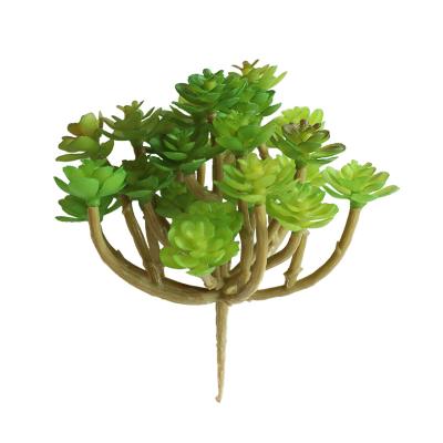 China 24 Branches Fairy Tree Plastic Artificial Succulent Potted Plants For Decoration for sale