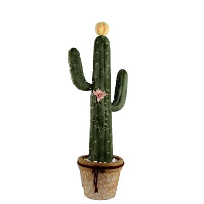 China Eco-friendly the only new style of the simulated bonsai hand-painted cactus in the bohemian style in the tropical desert in the whole network for sale