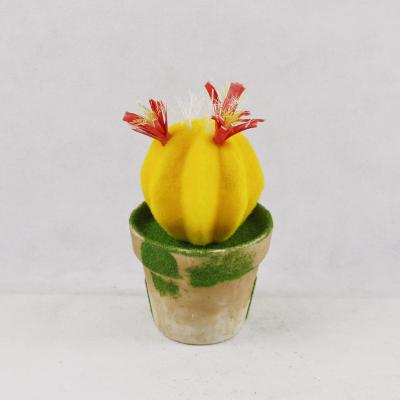 China Desktop Handcrafted Artificial Miniature Home Floral Garden Decoration Cactus Garden Decorative Plant for sale