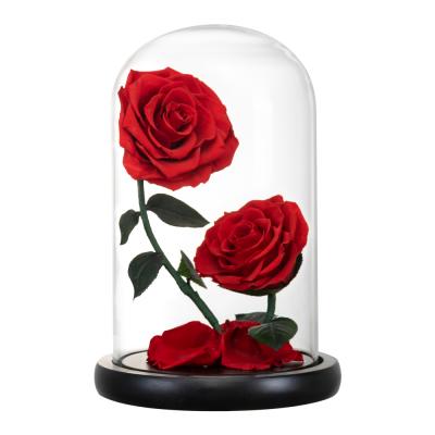 China New Style Durable Touched Flowers Cheap Personalized Real Eternal Rose Preserved Flower With Two Roses In Gift Box for sale