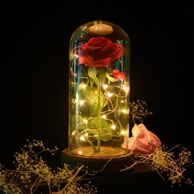 China New Design Lasting Beauty And Beast Rose Wholesale Preserved Eternal Roses With Led Lights In Glass Dome For Sale for sale