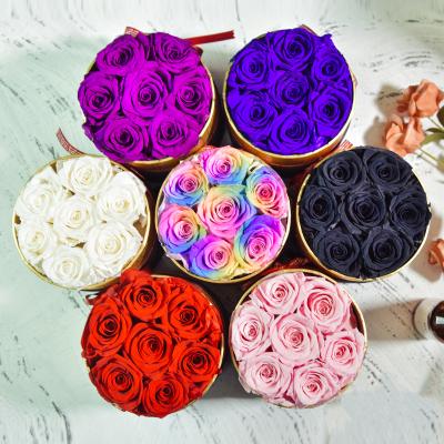 China Valentine Day Gifts 7pcs Forever Blooms Real Flower Eternal Rose Preserved Roses Box Eternal Flowers In Round Gift Box for sale