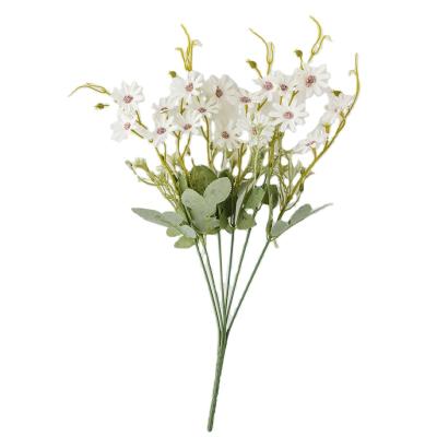 China Hot Selling Long Lasting Amazon Balance Flowers Daisy Real Long Lasting Preserved Everlasting Dry Strawflower For Wedding Decorations for sale