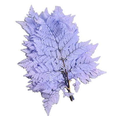 China Wholesale Hot Sale Lasting Forever Small Decorative Colorful Fern Leaves Stem For Garden Decor Wedding Gift for sale