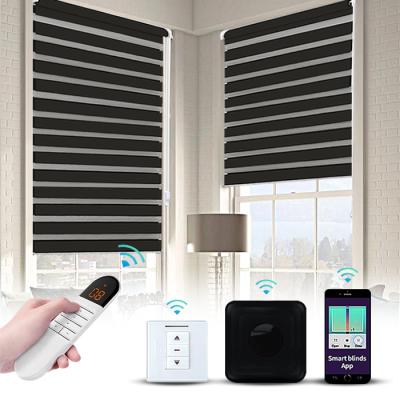 China 100% Waterproof Alexa Control Customized Motorized WIFI Plug & Play Blackout Zebra Roller Shades for sale