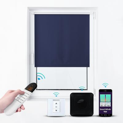 China Support App Control Minimalist Roller Blinds Motorized Daylight Shades And Blackout Roller For Desktop for sale