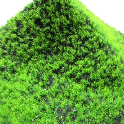 China Environmental high quality artificial decorative preserved moss for moss wall decoration YM-CP034 for sale