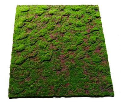 China Cheap Price Best Environmental Selling Artificial Moss Grass Wall For Decoration Landscape YM-CP030 for sale