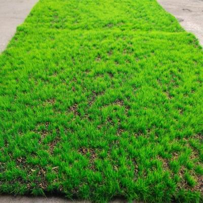 China Factory Price DIY Silk Cotton Plants Environmental Fresh Artificial Moss For Decoration YM-CP035 for sale