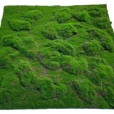 China Environmental high quality indoor color artificial moss carpet in YM-CP018E factory price wholesale for sale