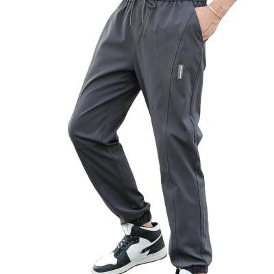 China Hot Selling Anti-wrinkle Elastic Waist Men Eco-friendly Breathable Sweatpants Shapes Long Pants Jogger for sale