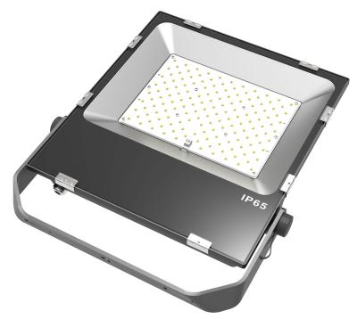 China Landscape 10w~200w LED Flood Light for Landscape, Square, Plaza, Garden, Park, Tower, Street for sale